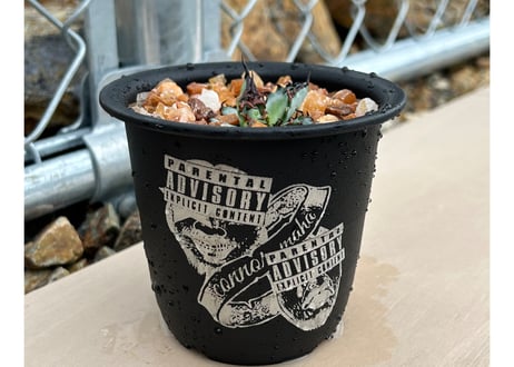 CONNOR'Z POT