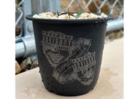 CONNOR'Z POT