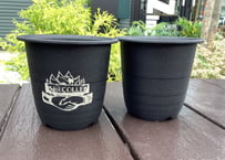 ISHECOLLE'Z POT MINI