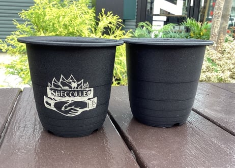 ISHECOLLE'Z POT MINI
