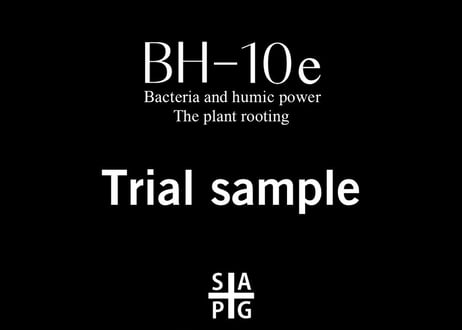 BH-10e
