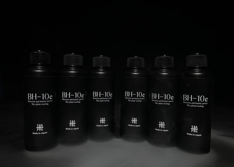 BH-10e