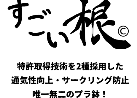 すごい根　大サイズ 　ロング(バラ売り)