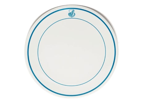 【BALLISTICS】AIR FORCE PLATE