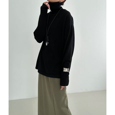 classic turtle【K2-233125】