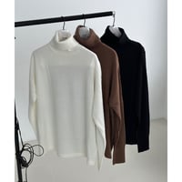 classic turtle【K2-233125】