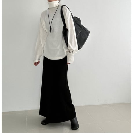 classic turtle【K2-233125】