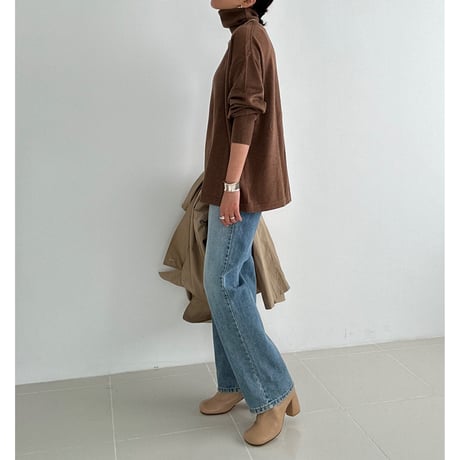 classic turtle【K2-233125】