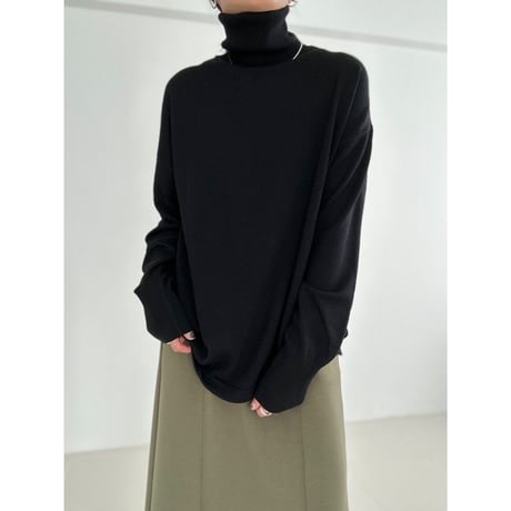 classic turtle【K2-233125】