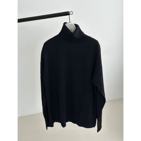 classic turtle【K2-233125】