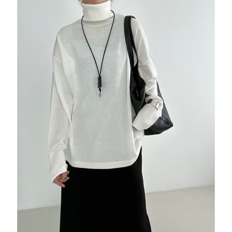 classic turtle【K2-233125】