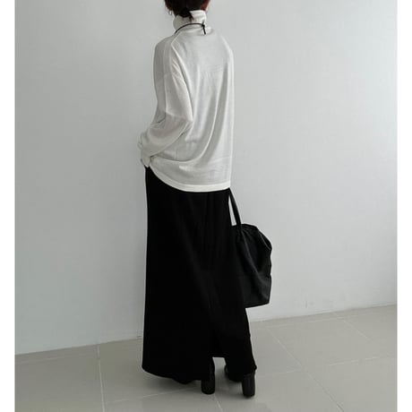 classic turtle【K2-233125】