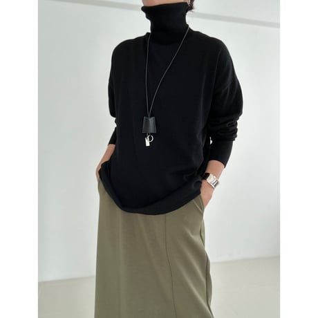 classic turtle【K2-233125】