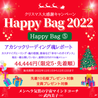 Happy Bag2022⑤アカシックリーディング魂レポート