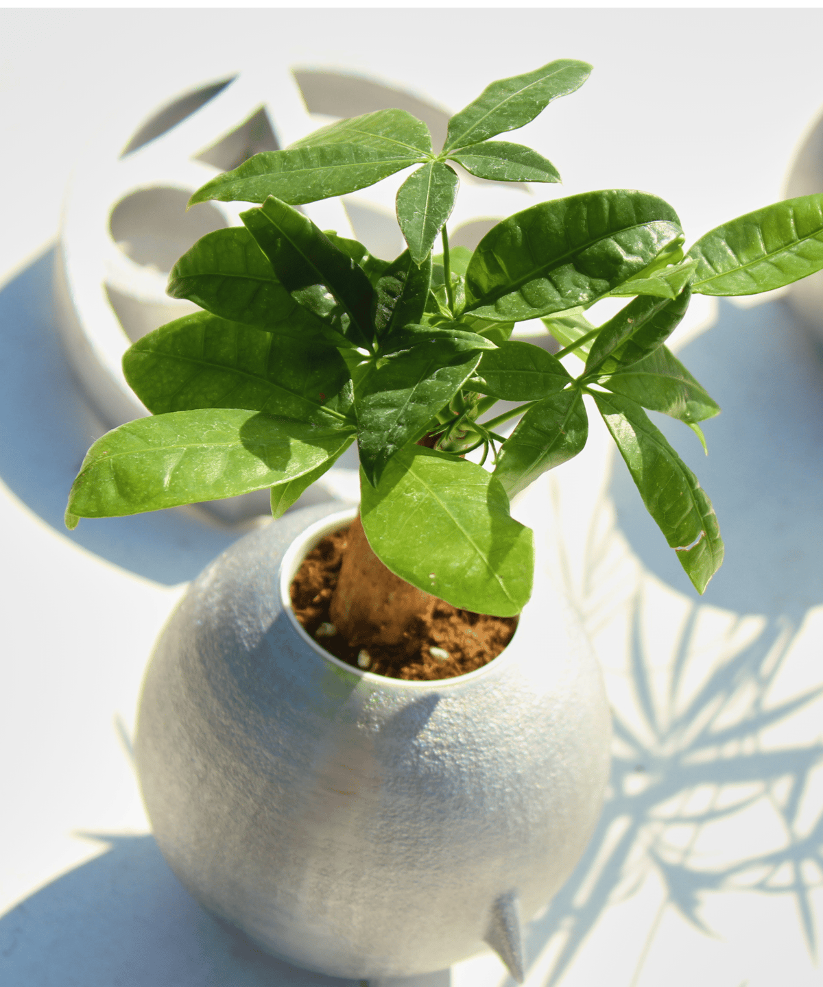 鉢・プランター uchi@ プランター（立） | 吉田工業 オンラインストア