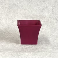 ロイヤルフクシア ROYAL FUCHSIA   スクエアベース 高さ12cm 開口部□14cm  (450-1197)