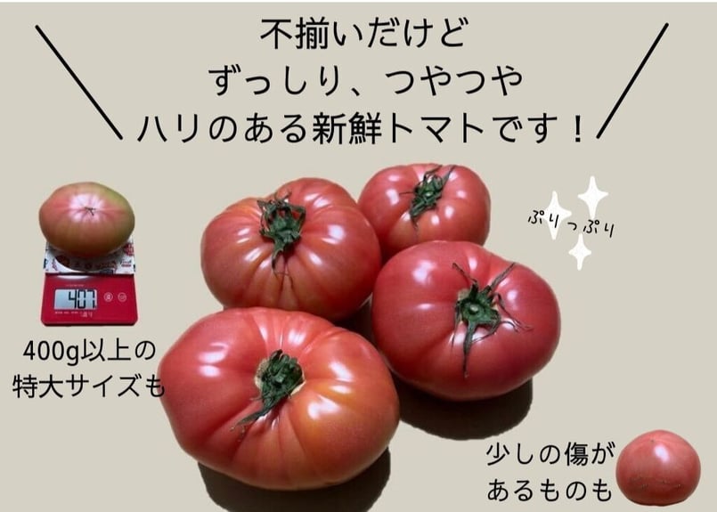 規格外特大］ 桃太郎トマト 4㎏箱満杯詰 1ケース | Tファームいしい