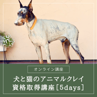 犬と猫のアニマルクレイセラピスト講座5DAYS（オンライン講座）