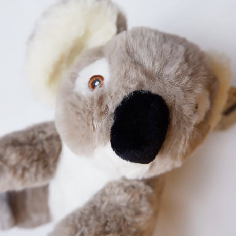 KOALA DOLE