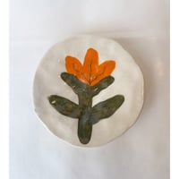 Small Dish