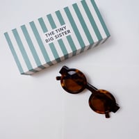 SUNGLASS /TORTOISESHELL