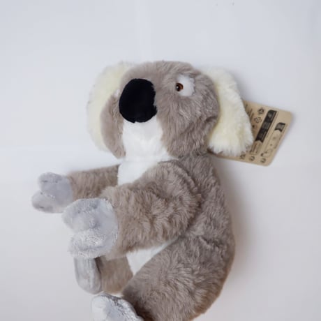 KOALA DOLE
