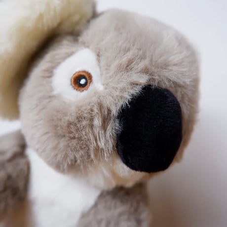 KOALA DOLE