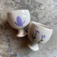 Lilac Wine cup Cactus and Rose
