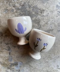 Lilac Wine cup Cactus and Rose