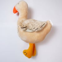 DUCK DOLE