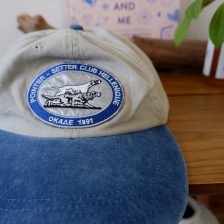 USA 2tone Cap