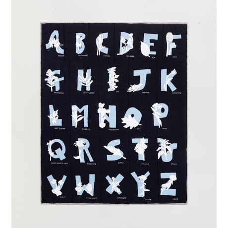 Alphabet Quilt