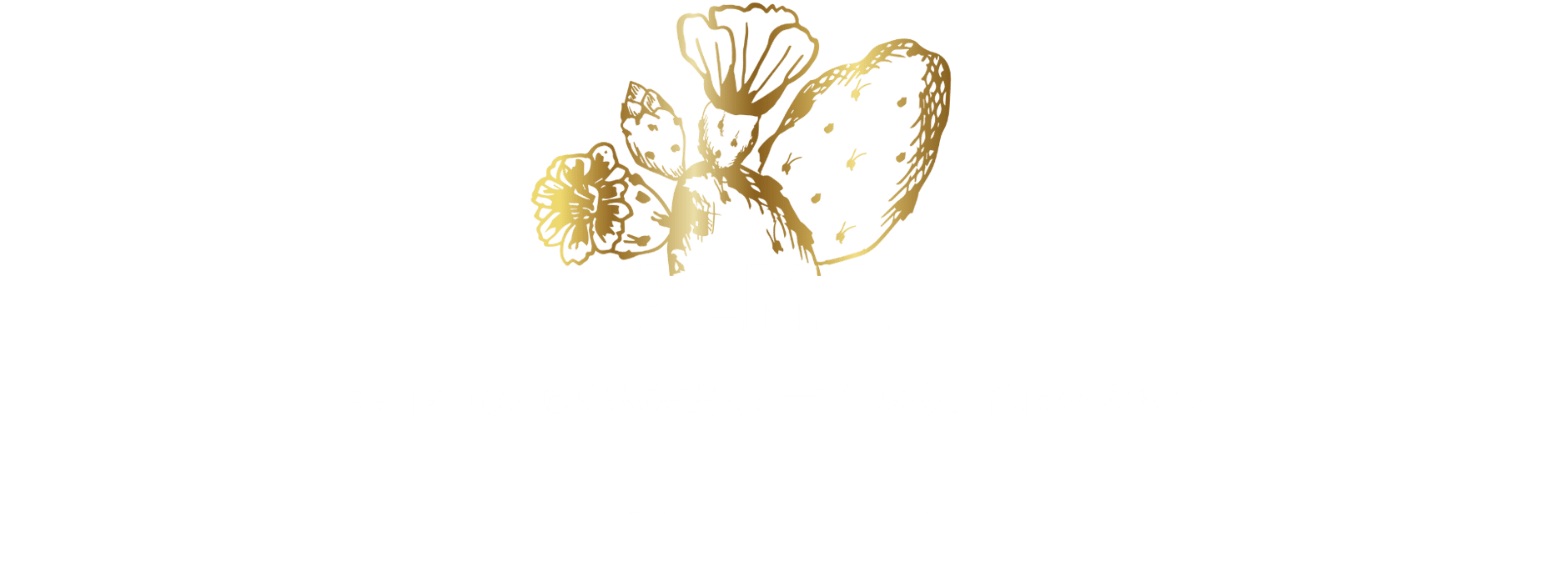 ALMA online