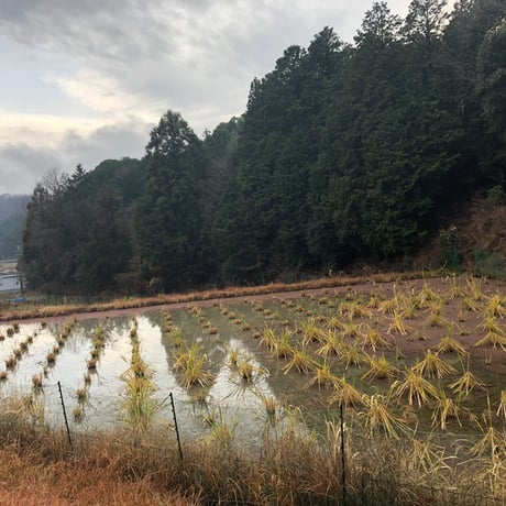 ※送料無料※ ALMAサボテンオイル 30ml&アルガンオイル 60ml & pukapuka真菰ウォーター 60mlの”和に還るセット”