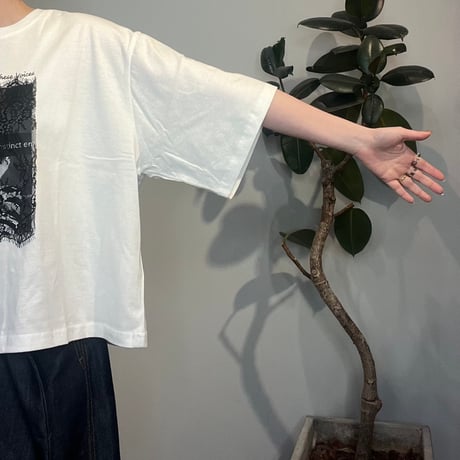 【TRANOI.】レース×アートプリントワイドTee［242J227］