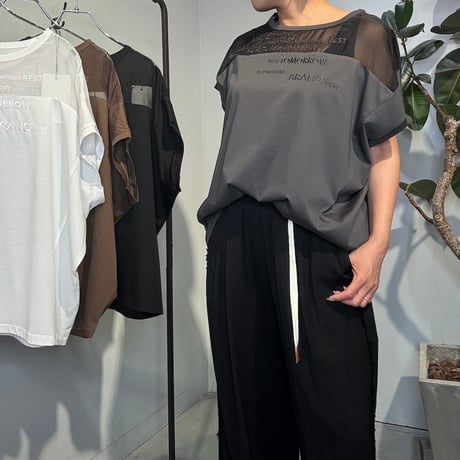 【LUGIVa】オーガンジー刺繍Ｔシャツ［202680］
