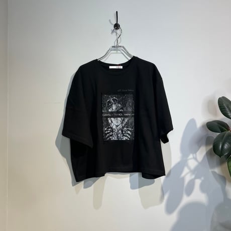 【TRANOI.】レース×アートプリントワイドTee［242J227］