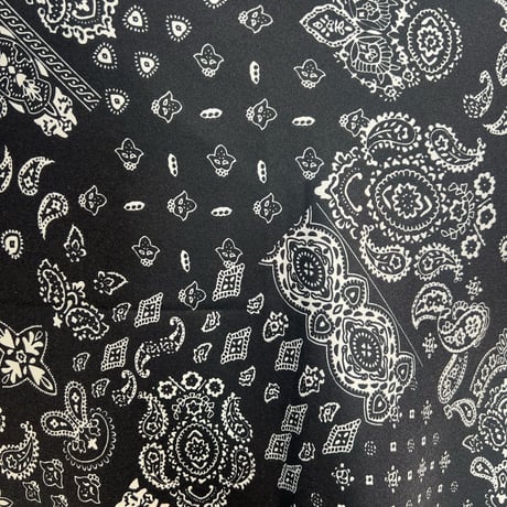 【Anna Kerry】PAISLEY SCARF《85261001》