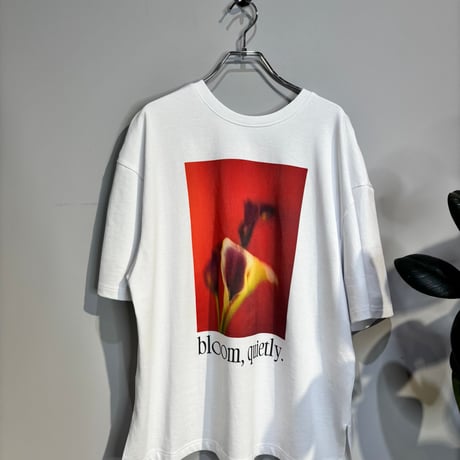 送料無料❤️【WHYTO.】2wayプリントTee  ［WHT26HCS4015］