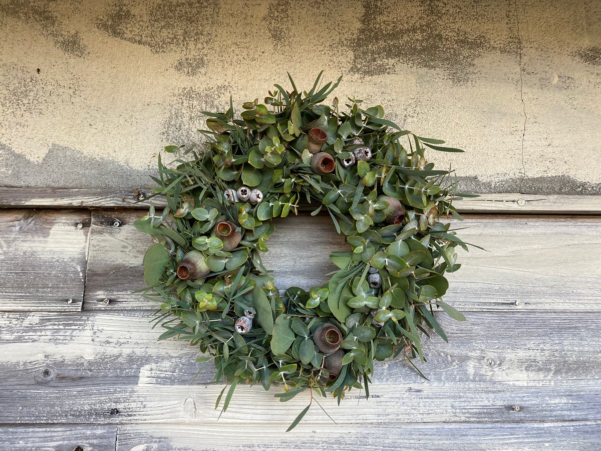 ラムズのユーカリリース M | 花仕事屋 Lambs