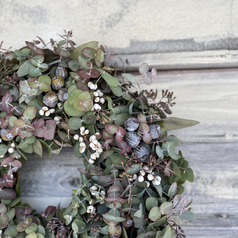 ラムズの紅葉ユーカリリース | 花仕事屋 Lambs