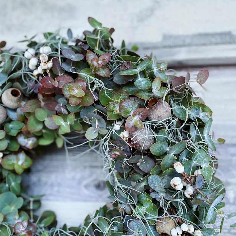 オーレアミモザとエリンジウムのリース　ビオラ　アメジストセージ ユーカリ オーレアミモザとエリンジウムのリース ビオラ アメジストセージ