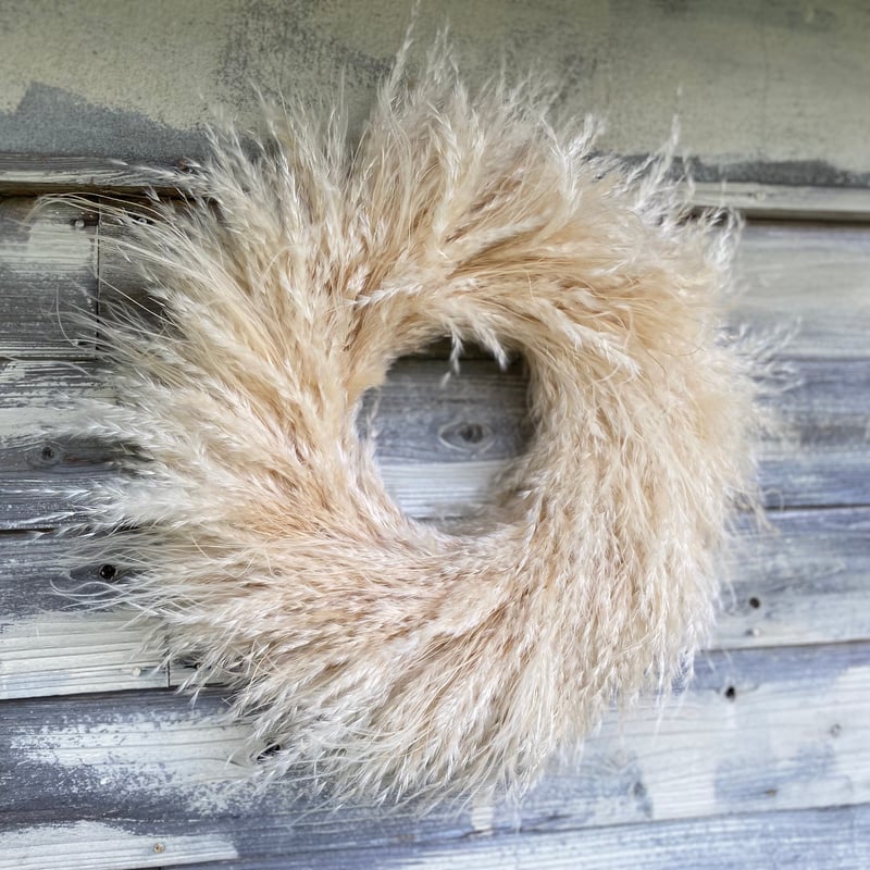 ラムズのパンパスリース | 花仕事屋 Lambs