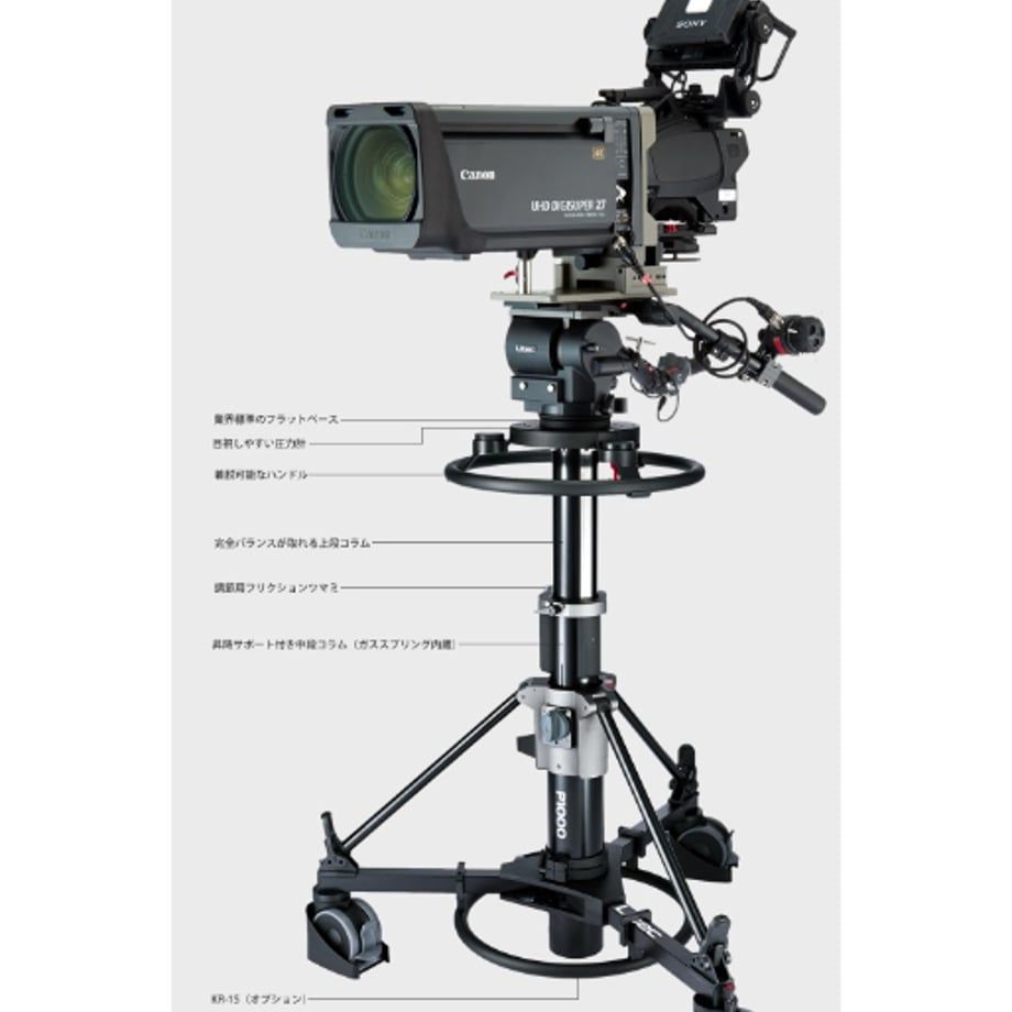 65f1255d7e95400562483f9d