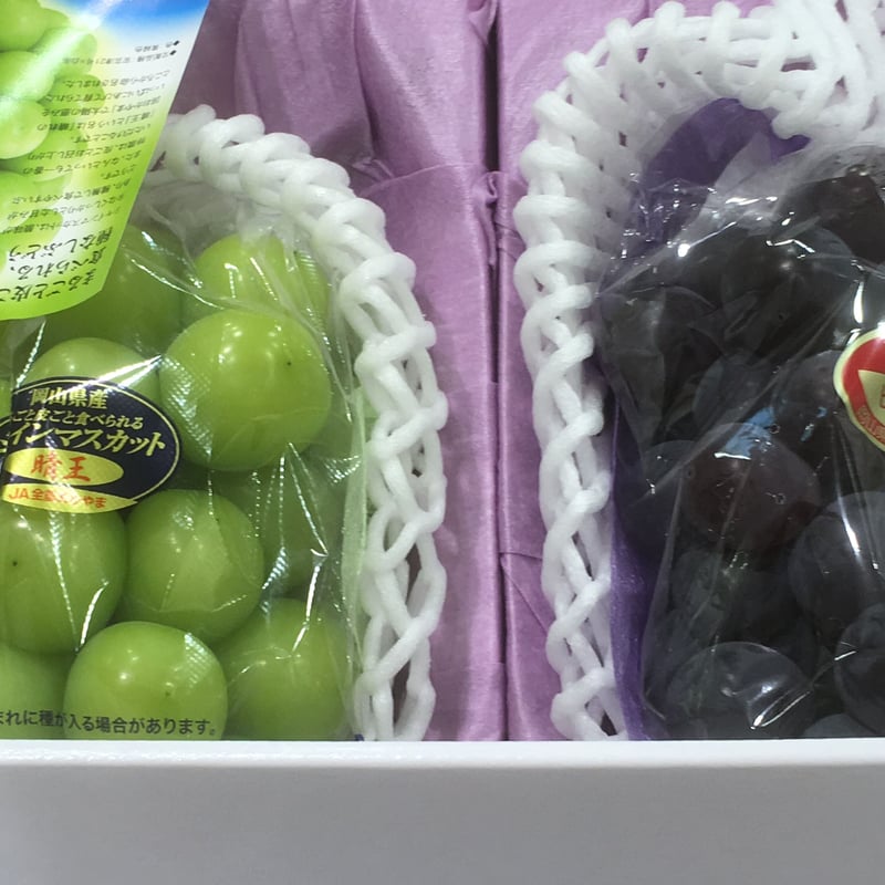 極上 食比べセット 岡山産ピオーネ＋シャインマスカット ※先行予約販売