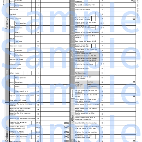 【PDF版】令和７年分（2025年分）以降版　英語翻訳ver　  所得税の確定申告書（第１表のみ）