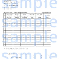 【PDF版】給与支払(見込）証明書