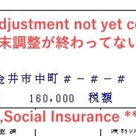 【PDF版】令和５年分（2023年分）　英語翻訳ver　給与所得の源泉徴収票（2024年分OK）