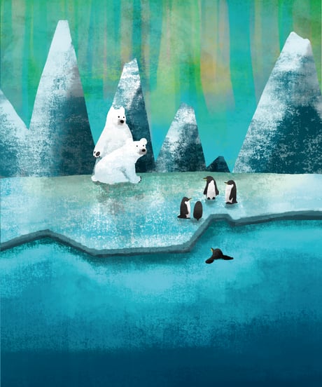 The Arctic