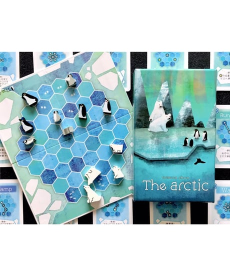 The Arctic
